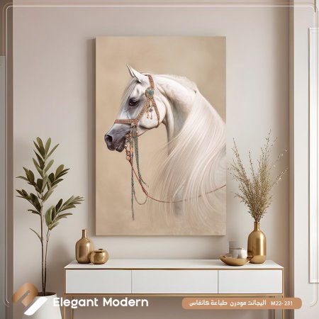خيل عربي ابيض